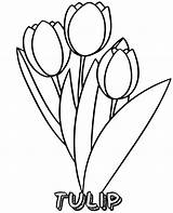 Tulips Easy sketch template