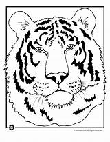 Coloring Tiger Pages Tigers Detroit Head Color Animal Kids Library Clipart Popular sketch template