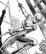 Coloring Spidergirl Spiderman sketch template