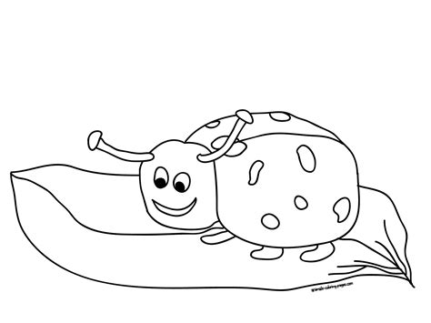 cute bug coloring pages animal place