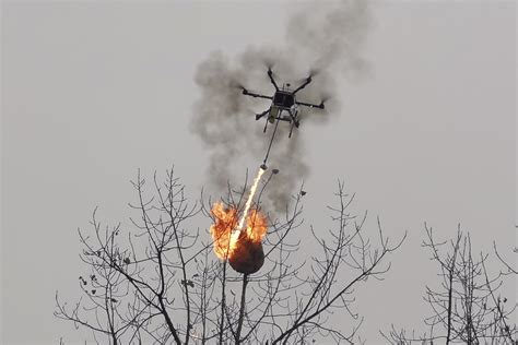 flamethrower drone incinerates wasp nests  china ap news
