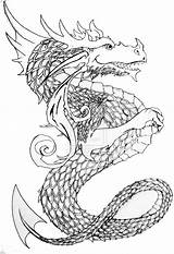 Dragon Outlines Drawing Tail Outline Dragons Drawings Simple Tattoo Chinese Getdrawings Cd Deviantart Forest Paintingvalley sketch template