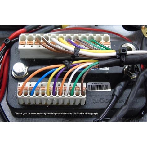 motogadget  unit wiring wiring diagram pictures