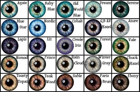 color chart shades  blue eyes