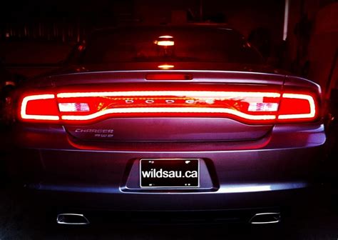 rear lights wildsau