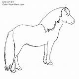 Newfoundland Pony Stallion Coloring Pages Mummers Own Color Template Line Kids Choose Board Drawing sketch template
