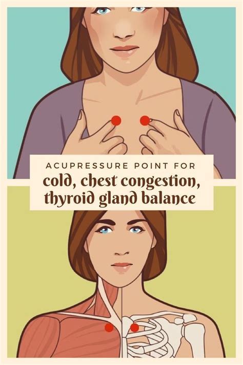 acupressure point for cold chest congestion thyroid gland balance