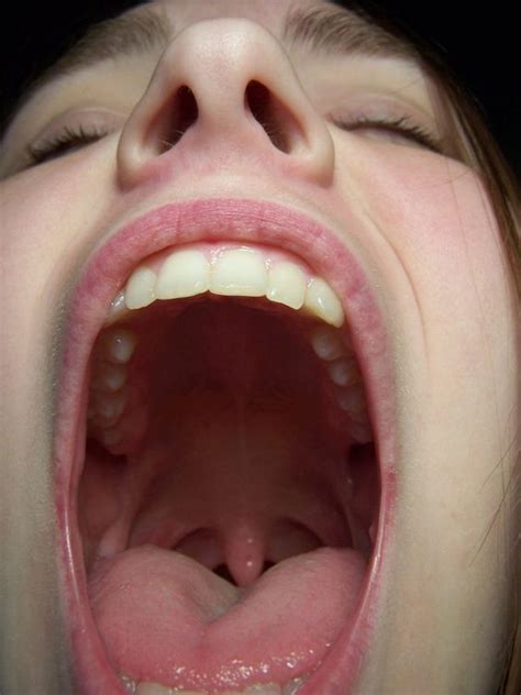 mouth like the ai bridge by della stock on deviantart inner mouth pinterest mouths