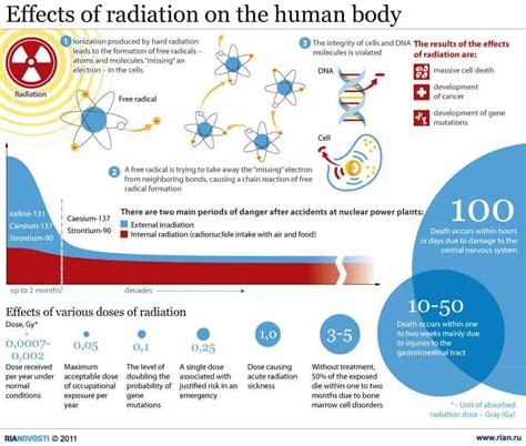 effects  radiation   human body daily infographic