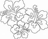 Hawaiian Tropical Hibiscus Coloringhome Preschoolers sketch template