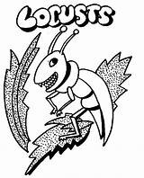 Locust Plague Passover sketch template