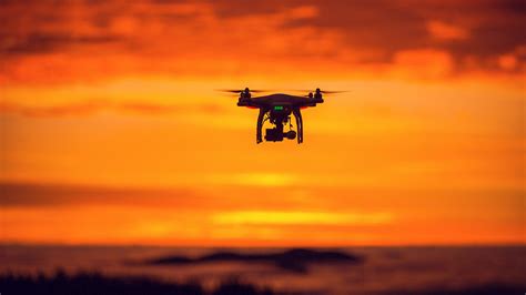 el uso de los drones  la inteligencia artificial  detener la caza furtiva