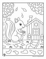 Squirrel Printables Objects Woojr Woo Preschool sketch template