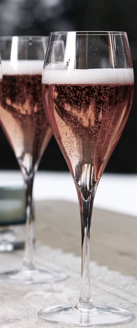 rose champagnes    champagne report  winereview articles