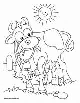 Cow Coloring Grass Pages Chick Eating Fil Printable Template Kid Drawing Clipart Animal Color Animals Popular Kids Library Visit Colour sketch template