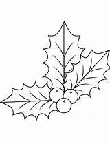 Holly Coloring Pages Mistletoe Drawing Christmas Xmas Berry Simple Printable Template Leaf Color Berries Sheets Printables Print Dot sketch template