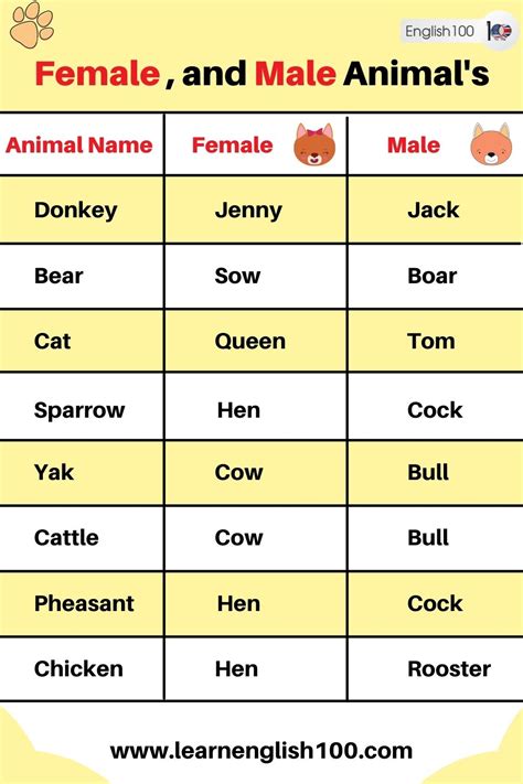 female  male animals names  english english