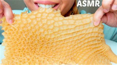 asmr honeycomb beef tripe 먹방 crunchy chewy eating sounds