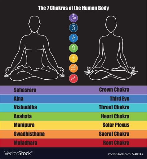 Seven Chakras Human Body Royalty Free Vector Image