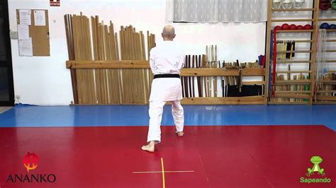 pinan nidan es el segundo de los katas basicos del estilo shito ryu