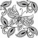 Farfalle Floreale Fiori Ornamento Cuciture Coloritura sketch template