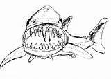 Coloring Pages Shark Scary Sharks Getdrawings sketch template