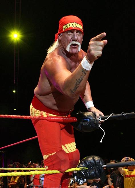 Hulk Hogan Uses N Word In Sex Tape Is Fired By Wwe Ny Daily News