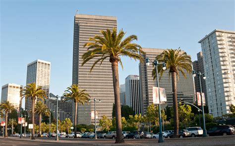 san francisco palm trees sky wallpaper hd city  wallpapers images