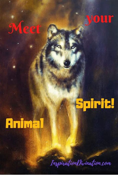 animal spirit inspiration divination