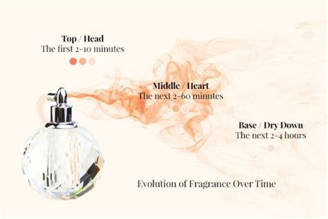 perfume notes perfume fragrance  perfume
