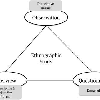 ethnographic study  assess  enactment  information