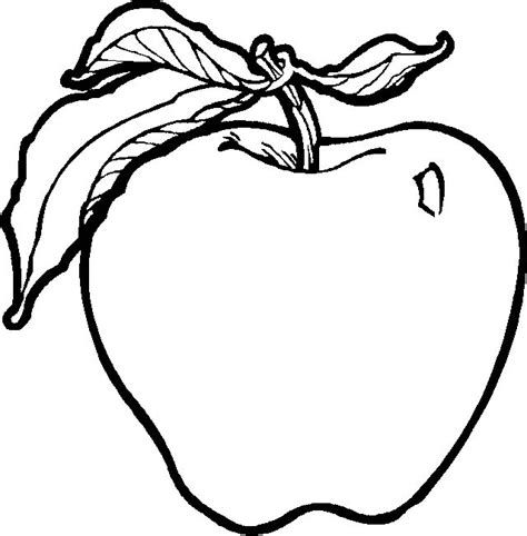 fruit  vegetables coloring pages