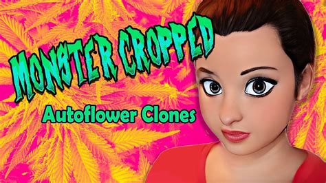 Monster Cropped Autoflower Clones Youtube