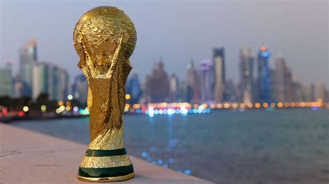 qatar  world cup   favourites   progress behiinfo