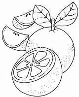 Puntillismo Fruta Imprimir Colorir Laranjas Laranja Fruit Tangerina Trabalhar Frutero Tudodesenhos Mexerica Alimentarte Naranja sketch template