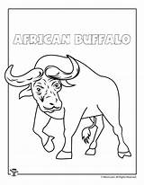 Buffalo Coloring African Pages Getcolorings Activities Color Unique Coloringbay Print sketch template
