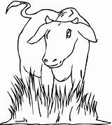Coloriage Vache Vaca Prairie Pasturas Kleurplaten Krowy Koe Kolorowanki Krowa Koeien Druku Boerderij Kleurplaat Kolorowanka Vacas Pintura Riscos Imprimer Imprimir sketch template