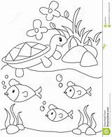 Lakes Tartaruga Fundo Coloritura Pesce Painel Peixes Printables Lagos Ponds Snoopy Páginas sketch template