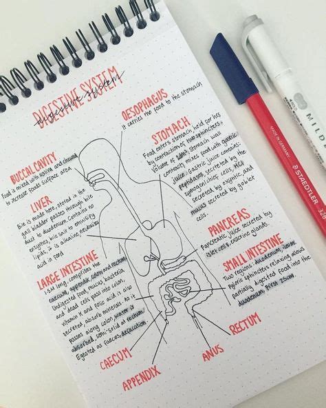 revision notes ideas notes study notes school notes