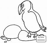 Puffin Drawing Coloring Getdrawings sketch template