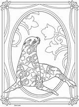 Coloring Pages Sea Lion Dover Publications Creative Haven Adult Seal Doverpublications Welcome Nouveau Colouring Sealife Fanciful Books Printable Dovers Choose sketch template