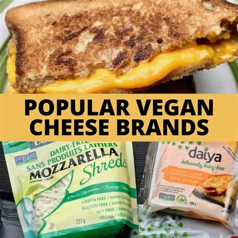 popular vegan cheese brands   delicious cheese alternatives
