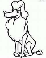 Coloring Poodle Pages Library Clipart Duck Popular sketch template