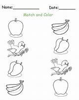 Match Worksheets Worksheet Color Printable Preschool Printables Lessons Colour Now Printablesfree Choose Board sketch template