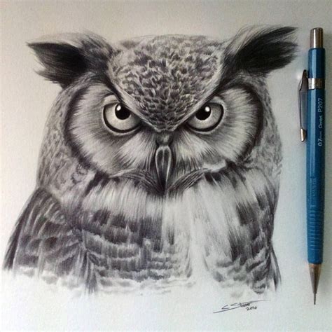 realistic snowy owl pencil drawing bmp blip