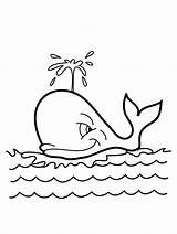 Whale Drawing Cute Coloring Pages Beluga Adults Preschool Getdrawings sketch template