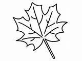 Leaf Coloring Simple Pages Maple Getcolorings Drawn sketch template