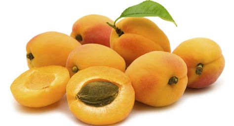 health benefits  apricot fruit     ayurveda  yoga