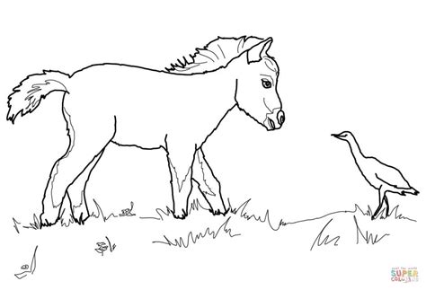 paint horse coloring pages  getdrawings