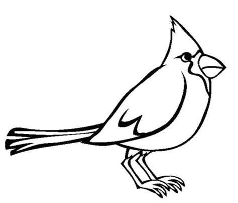 cardinal bird coloring page printable
